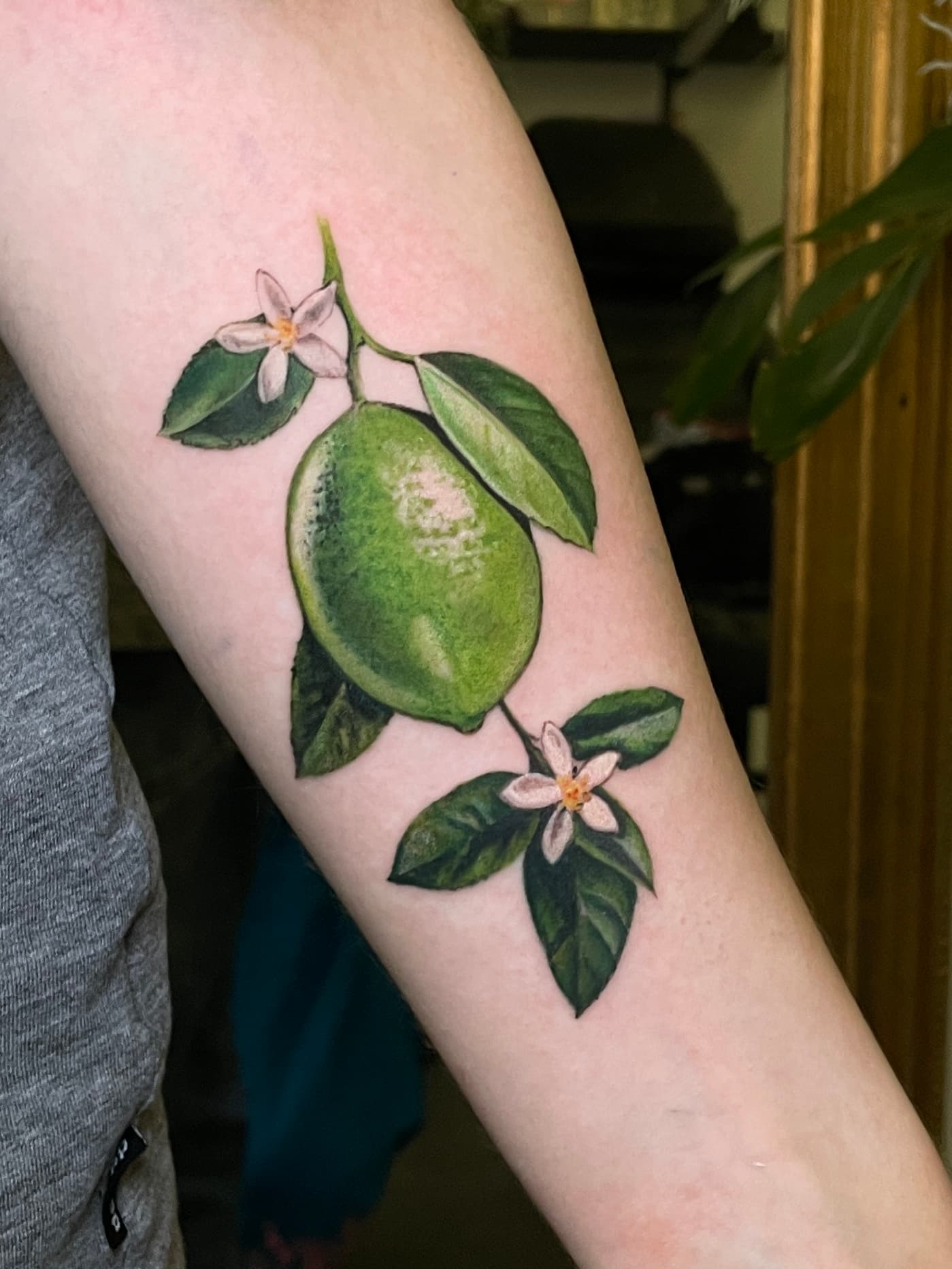 Botanical lime tattoo by Lydia Szubert