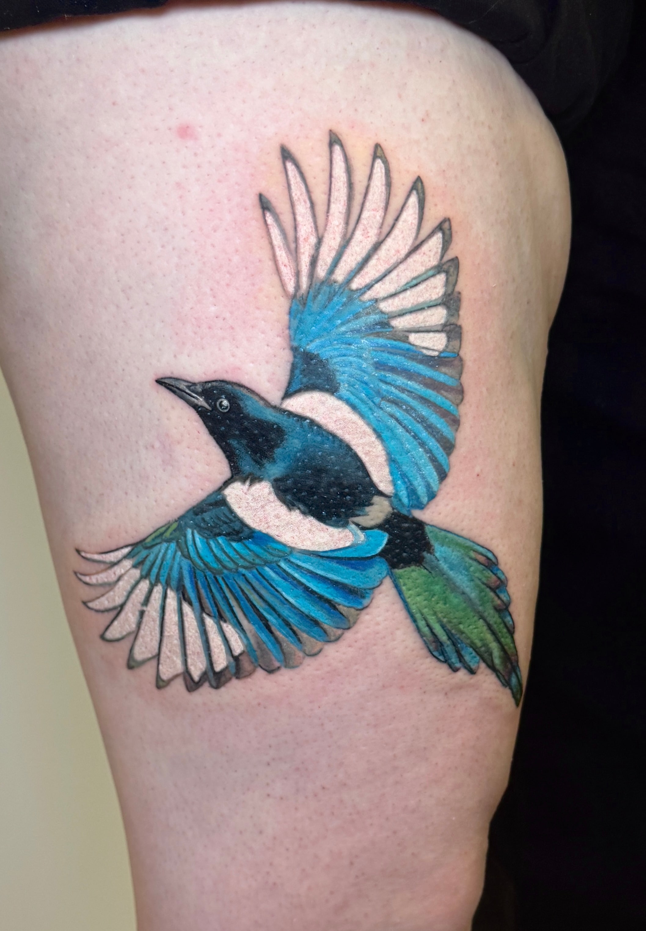 Colour realism bird tattoo