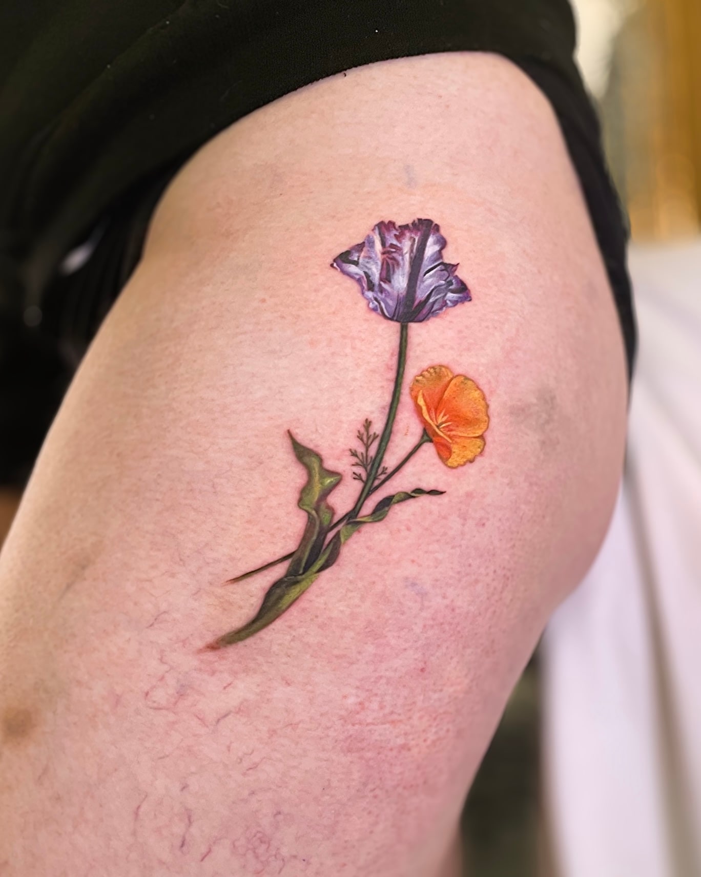 Colour botanical poppy tattoo